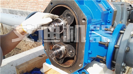 艾迪機器轉(zhuǎn)子泵維護與保養(yǎng).jpg 艾迪機器轉(zhuǎn)子泵維護與保養(yǎng).jpg