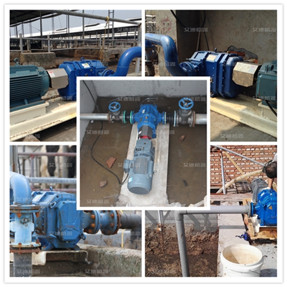 艾迪機器糞污干清泵應(yīng)用.png 艾迪機器糞污干清泵應(yīng)用.png