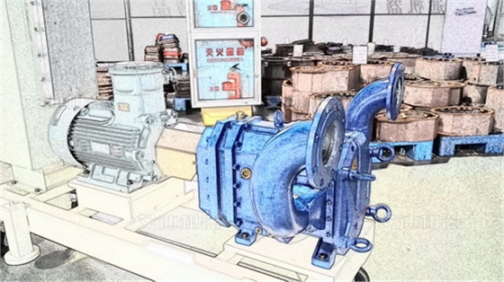 彈性體螺旋凸輪轉(zhuǎn)子泵_副本.jpg