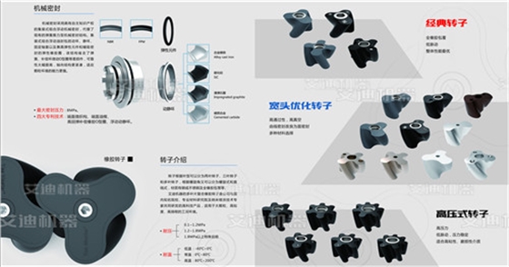 機(jī)械密封及轉(zhuǎn)子形態(tài)概述.jpg 機(jī)械密封及轉(zhuǎn)子形態(tài)概述.jpg
