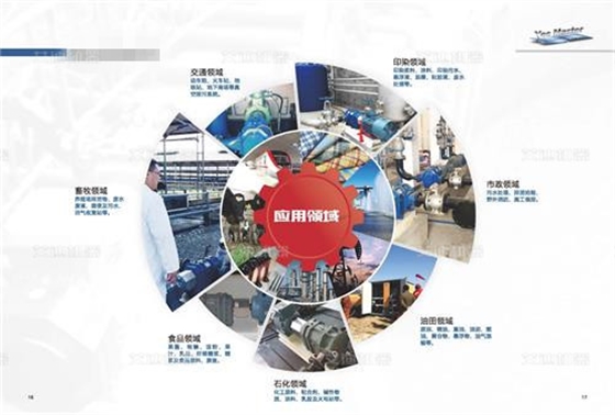 彈性體凸輪轉(zhuǎn)子泵應(yīng)用領(lǐng)域_副本.jpg 彈性體凸輪轉(zhuǎn)子泵應(yīng)用領(lǐng)域_副本.jpg