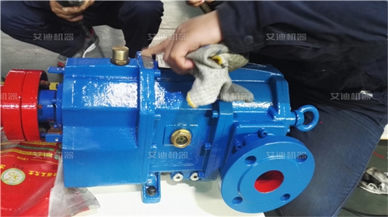 如何防護凸輪轉(zhuǎn)子泵磨損