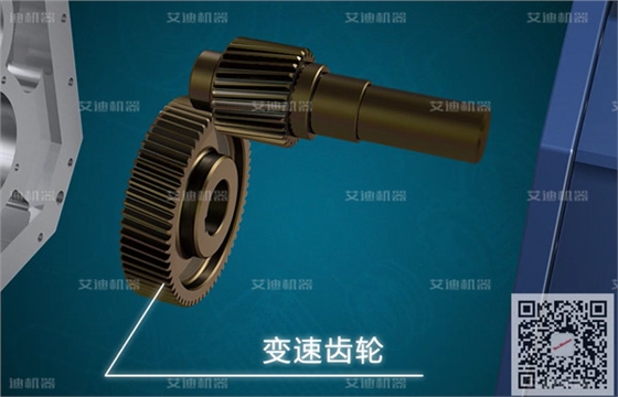 凸輪轉(zhuǎn)子泵變速齒輪.jpg 凸輪轉(zhuǎn)子泵變速齒輪.jpg