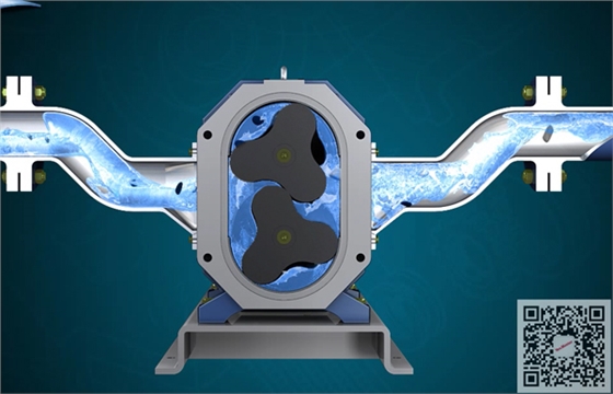 凸輪轉(zhuǎn)子泵工作原理圖.jpg 凸輪轉(zhuǎn)子泵工作原理圖.jpg