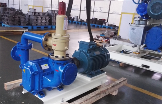 帶安全閥裝置的彈性體凸輪轉(zhuǎn)子泵.jpg 帶安全閥裝置的彈性體凸輪轉(zhuǎn)子泵.jpg