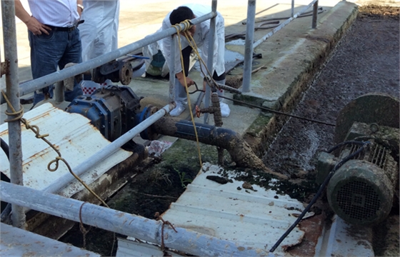 牛糞泵使用情況走訪調(diào)查.jpg 牛糞泵使用情況走訪調(diào)查.jpg