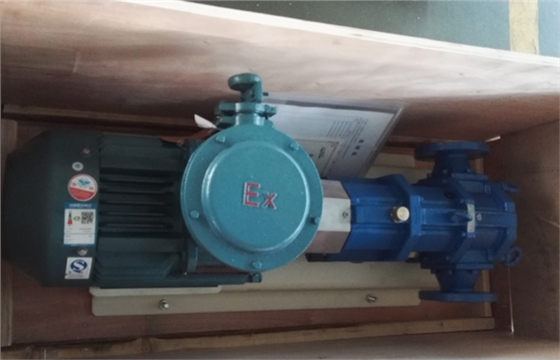 帶防爆電機(jī)的凸輪轉(zhuǎn)子泵.jpg 帶防爆電機(jī)的凸輪轉(zhuǎn)子泵.jpg