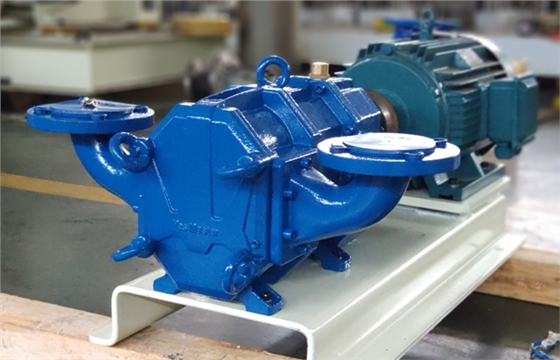 轉(zhuǎn)子泵生產(chǎn)廠家CRP40.jpg 轉(zhuǎn)子泵生產(chǎn)廠家CRP40.jpg