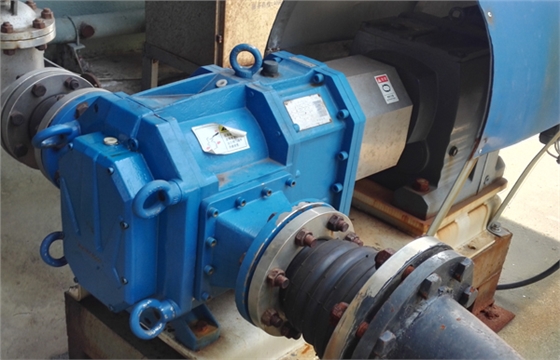 帶減速電機(jī)的CRP65轉(zhuǎn)子泵.jpg 帶減速電機(jī)的CRP65轉(zhuǎn)子泵.jpg