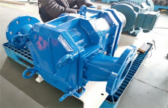 市政污水污泥泵生產(chǎn)完成.jpg 市政污水污泥泵生產(chǎn)完成.jpg