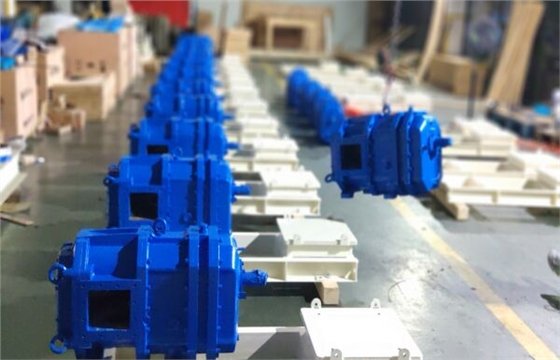 IMG_20210913_081210.jpg IMG_20210913_081210.jpg