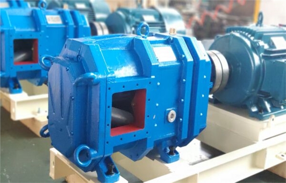 IMG_20210820_110457.jpg IMG_20210820_110457.jpg