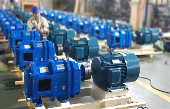 IMG_20210914_092234.jpg IMG_20210914_092234.jpg