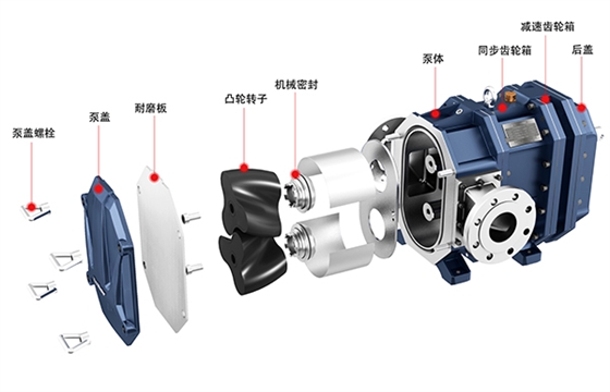 彈性體凸輪轉(zhuǎn)子泵爆炸圖.jpg 彈性體凸輪轉(zhuǎn)子泵爆炸圖.jpg