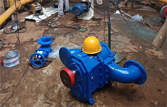 蘭溪污水處理廠高效池轉(zhuǎn)子泵安裝.jpg 蘭溪污水處理廠高效池轉(zhuǎn)子泵安裝.jpg