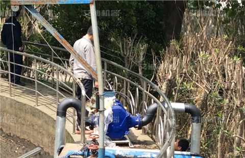 污水廠污水泵 污水廠污水泵
