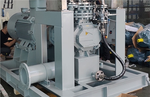 凸輪轉(zhuǎn)子泵撬裝 凸輪轉(zhuǎn)子泵撬裝