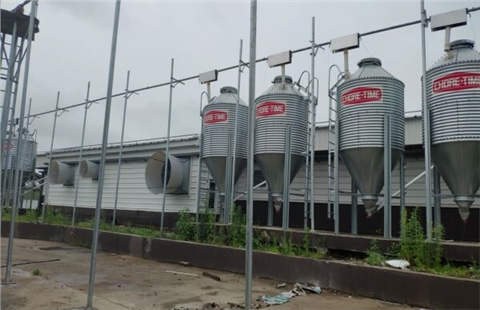 豬糞抽糞泵 豬糞抽糞泵