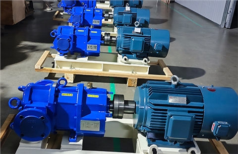 餐廚垃圾輸送泵 餐廚垃圾輸送泵