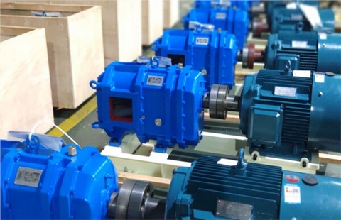 旋轉(zhuǎn)活塞轉(zhuǎn)子泵