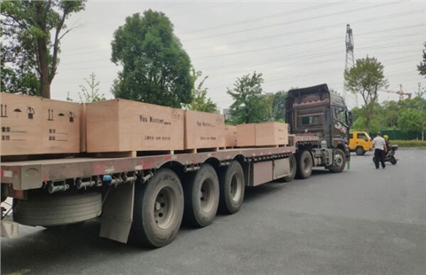 旋轉(zhuǎn)活塞轉(zhuǎn)子泵