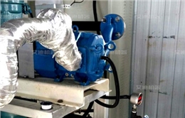 凸輪轉子泵撬裝