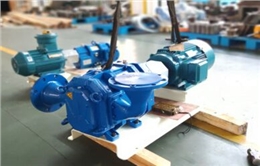 旋轉(zhuǎn)活塞轉(zhuǎn)子泵