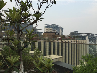屋頂花園 屋頂花園