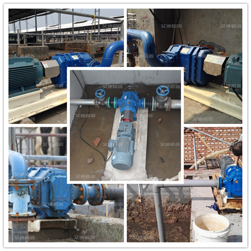 艾迪機器糞污干清泵應用.png 艾迪機器糞污干清泵應用.png