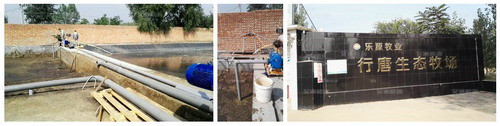 艾迪機(jī)器畜牧業(yè)養(yǎng)殖場(chǎng)糞污干清泵_副本.jpg