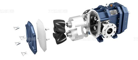 轉(zhuǎn)子泵結(jié)構(gòu)分析 轉(zhuǎn)子泵結(jié)構(gòu)分析