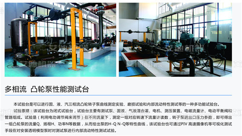 凸輪轉(zhuǎn)子泵凸輪泵性能測(cè)試中心.jpg