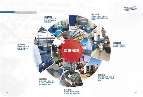 轉子泵研究基礎、現(xiàn)狀級趨勢