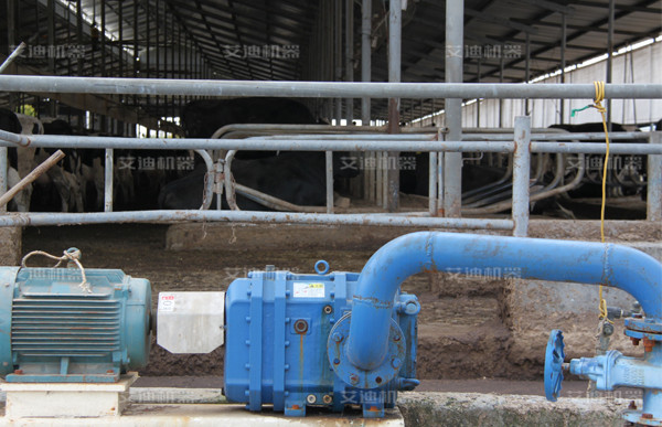 糞便泵牛場(chǎng)使用現(xiàn)場(chǎng)見(jiàn)證.jpg 糞便泵牛場(chǎng)使用現(xiàn)場(chǎng)見(jiàn)證.jpg