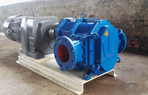 帶減速電機(jī)凸輪轉(zhuǎn)子泵.jpg 帶減速電機(jī)凸輪轉(zhuǎn)子泵.jpg