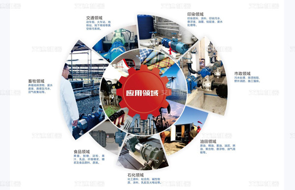 凸輪轉(zhuǎn)子泵應(yīng)用領(lǐng)域.jpg 凸輪轉(zhuǎn)子泵應(yīng)用領(lǐng)域.jpg