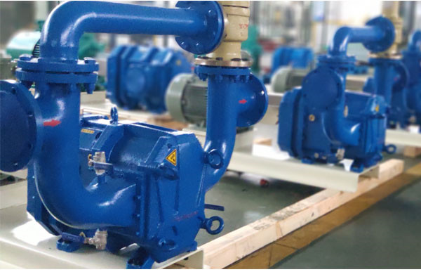 帶安全閥彈性體凸輪轉(zhuǎn)子泵生產(chǎn)定制.jpg 帶安全閥彈性體凸輪轉(zhuǎn)子泵生產(chǎn)定制.jpg