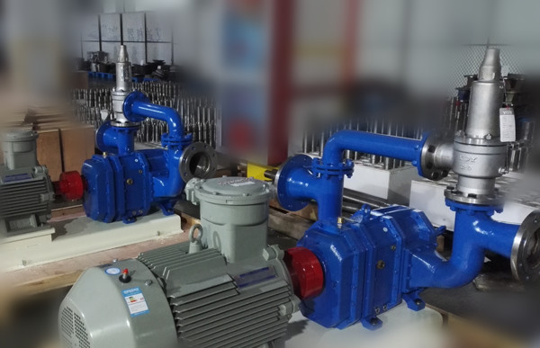 防爆電機配有安全閥裝置的凸輪轉(zhuǎn)子泵.jpg 防爆電機配有安全閥裝置的凸輪轉(zhuǎn)子泵.jpg