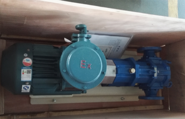 帶防爆電機的凸輪轉(zhuǎn)子泵.jpg 帶防爆電機的凸輪轉(zhuǎn)子泵.jpg