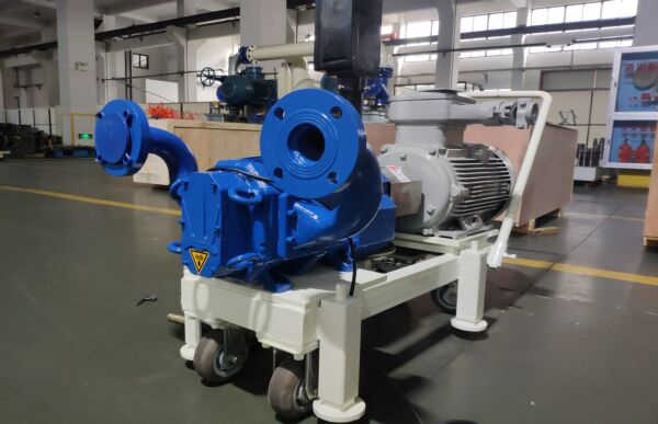 手推式凸輪轉(zhuǎn)子泵生產(chǎn).jpg 手推式凸輪轉(zhuǎn)子泵生產(chǎn).jpg