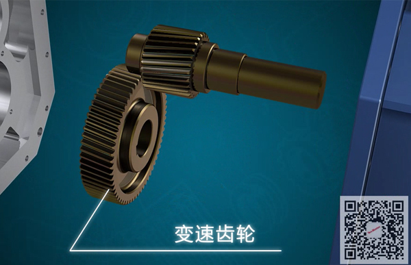 凸輪轉(zhuǎn)子泵變速齒輪.jpg