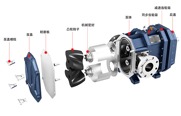 彈性體凸輪轉子泵爆炸圖.jpg 彈性體凸輪轉子泵爆炸圖.jpg
