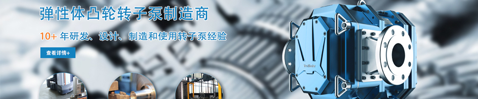 凸輪轉(zhuǎn)子泵廠家
