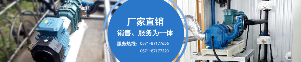 凸輪轉(zhuǎn)子泵制造商