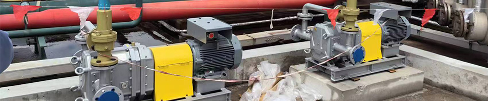 石油石化轉(zhuǎn)子泵