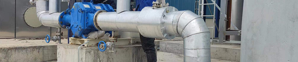 艾迪凸輪轉(zhuǎn)子泵