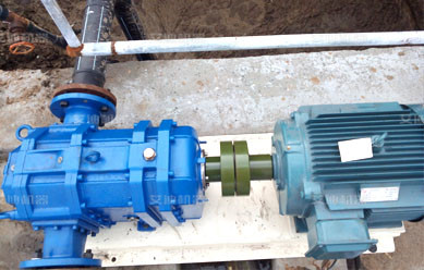 旋轉(zhuǎn)活塞轉(zhuǎn)子泵